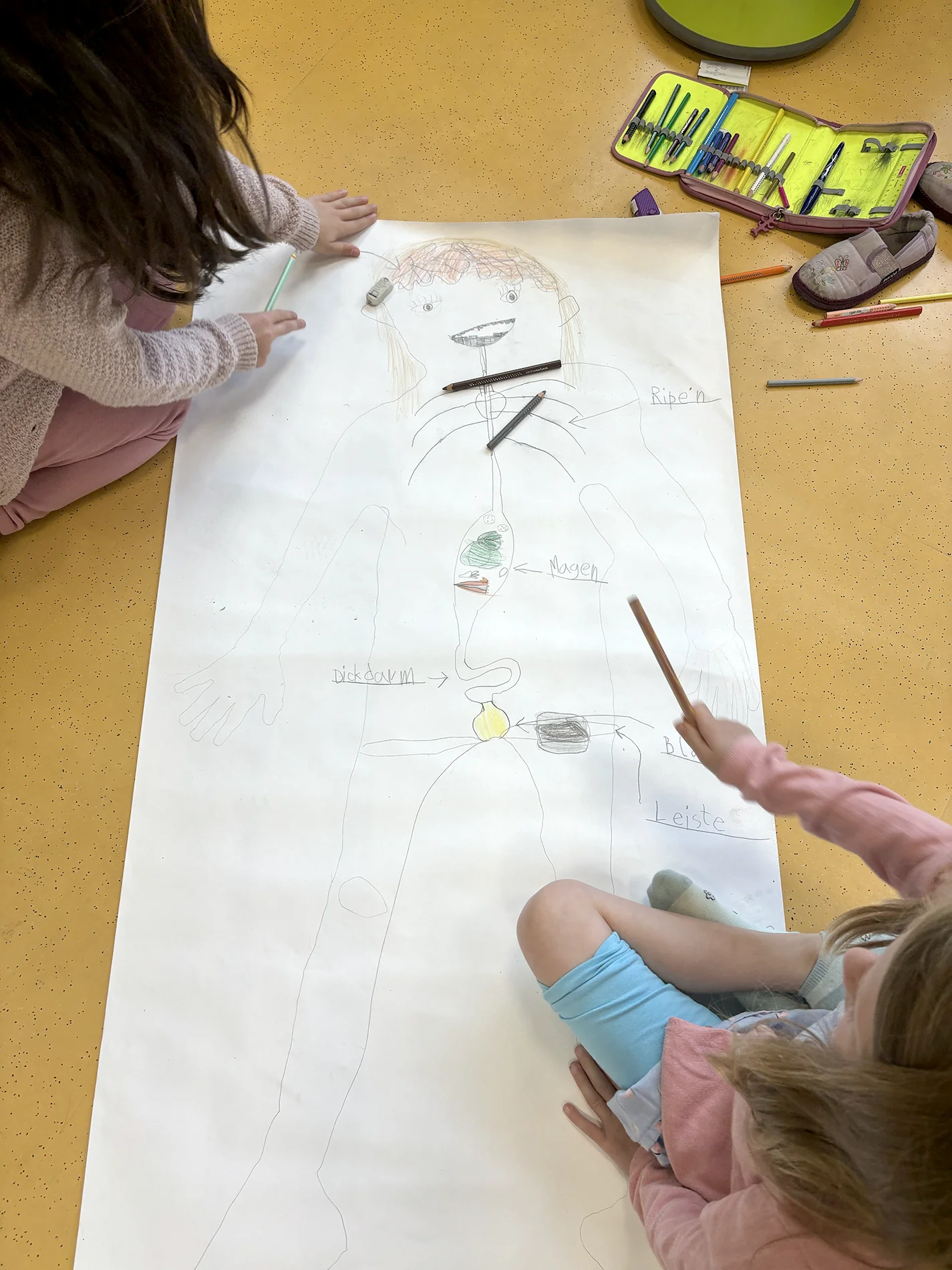 Kinder zeichnen auf einem großen Papierbogen den menschlichen Körper mit inneren Organen.