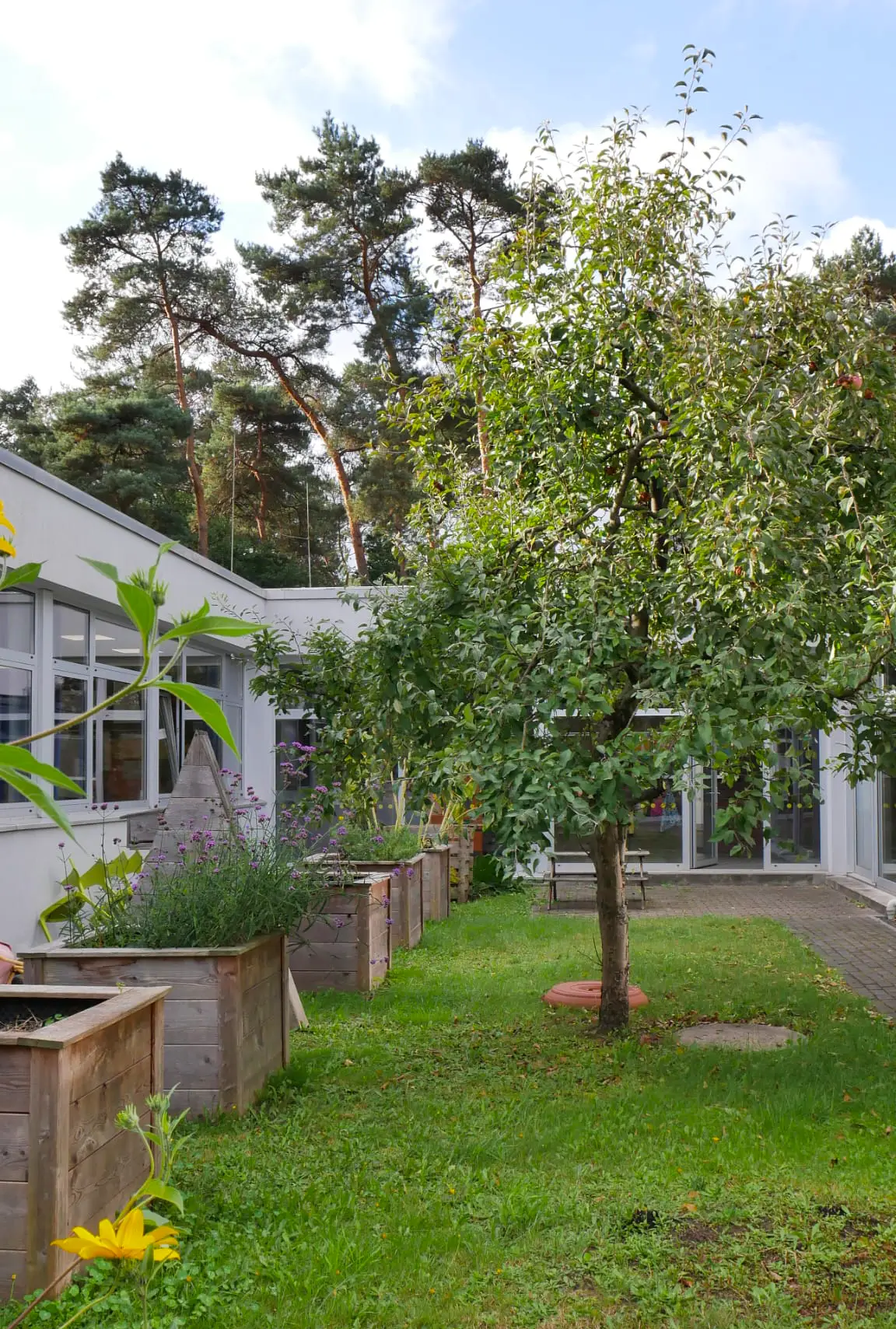 Grüner Innenhof der Schule mit Hochbeeten, Blumen und einem Apfelbaum – im Hintergrund moderne Schulgebäude mit großen Fenstern und Waldkulisse.